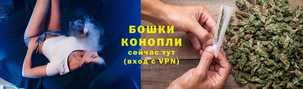 прущий лед Богданович