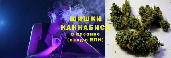бутират Богородицк