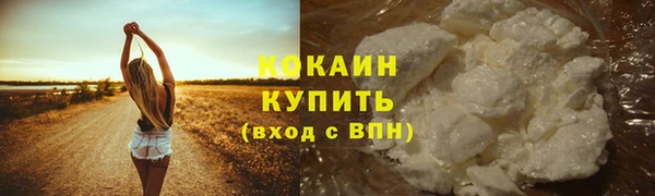 прущий лед Богданович
