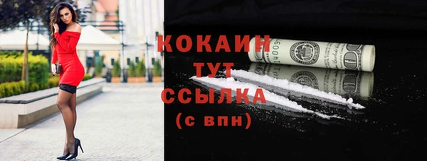 прущий лед Богданович