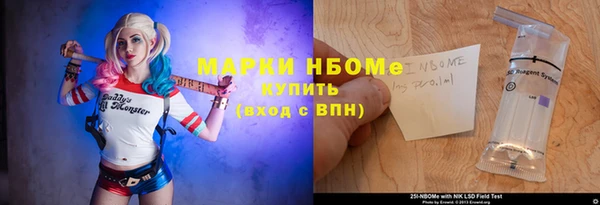 прущий лед Богданович