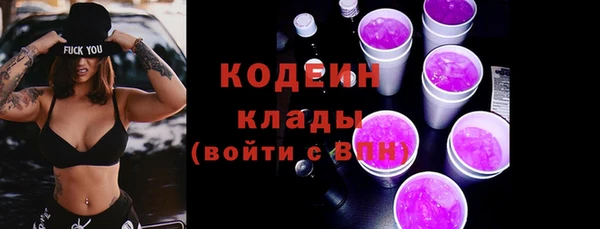 прущий лед Богданович
