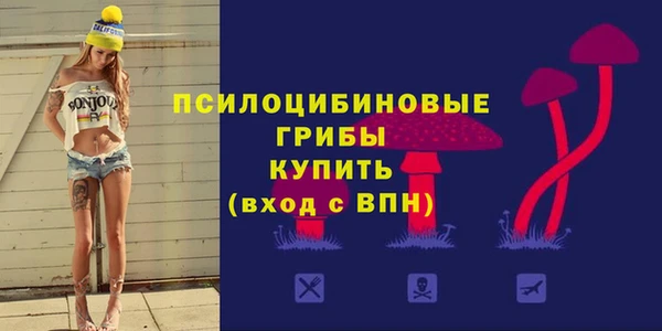 бутират Богородицк