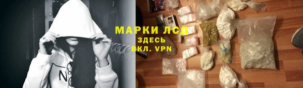 прущий лед Богданович