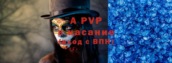 прущий лед Богданович