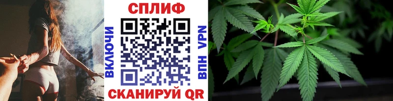Бошки марихуана VHQ  Далматово 